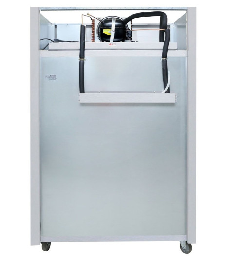 Sufg1000 Double Door Display Freezer Back